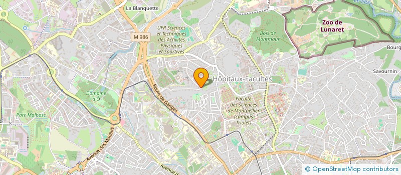 localisation de l'entreprise LES AIGLES DE LA BURGAYROLE à MONTPELLIER