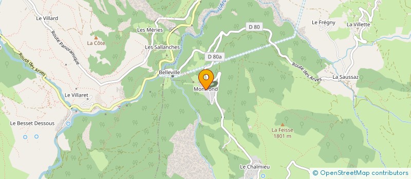 localisation de l'entreprise LES AIGUILLES D'ARVES  ALBIEZ-MONTROND