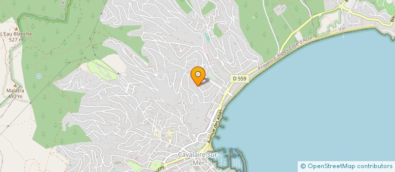 localisation de l'entreprise LES ALIZES à CAVALAIRE-SUR-MER