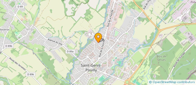 localisation de l'entreprise LES ALLEES DE SAINT GENIS - 1ERE TRANCHE à SAINT-GENIS-POUILLY