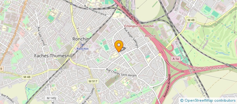 localisation de l'entreprise LES ALLUMES DU REEL  RONCHIN