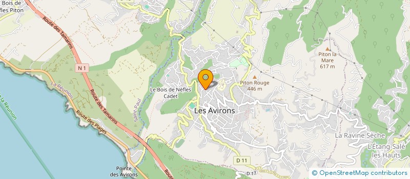 localisation de l'entreprise LES AMAZONES à LES AVIRONS
