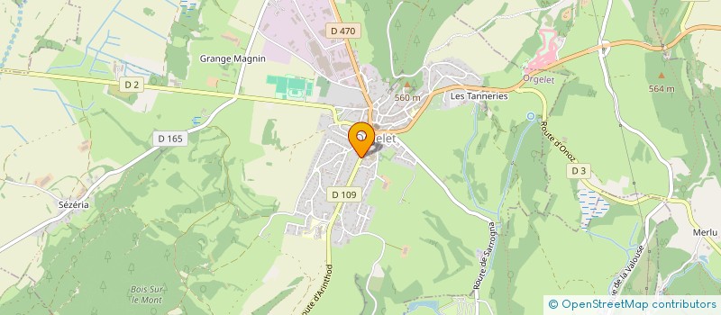 localisation de l'entreprise LES AMBULANCES RICHARD ET FILS  ORGELET