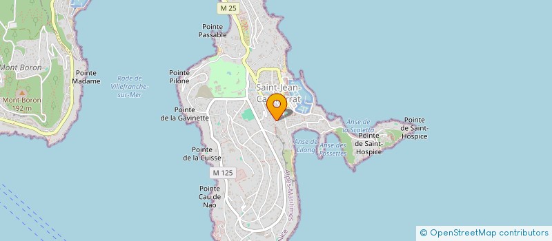localisation de l'entreprise LES AMERICAINS ET LA 6EME FLOTTE A VILLEFRANCHE SUR MER à VILLEFRANCHE SUR MER