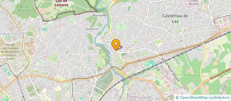 localisation de l'entreprise LES AMIES DE LA VALLEE DES ETOILES à CASTELNAU-LE-LEZ