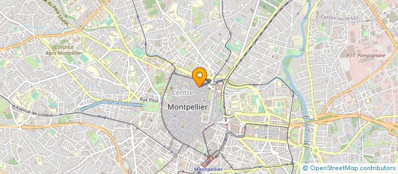 localisation de l'entreprise LES AMIS D AMELIE à MONTPELLIER