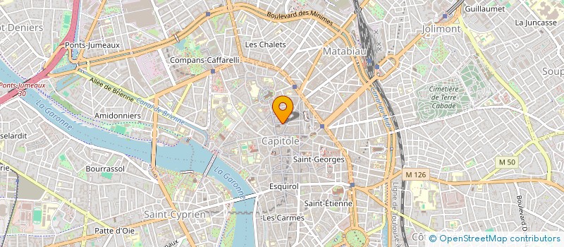 localisation de l'entreprise LES AMIS D'ASA NIKETAN à TOULOUSE