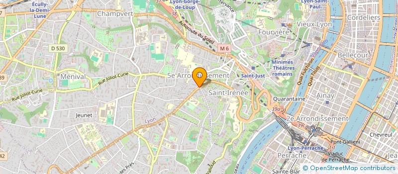 localisation de l'entreprise LES AMIS DE CHARCOT à LYON