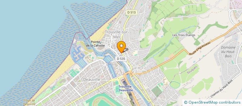 localisation de l'entreprise LES AMIS DE L'ECOLE DE MUSIQUE  TROUVILLE-SUR-MER