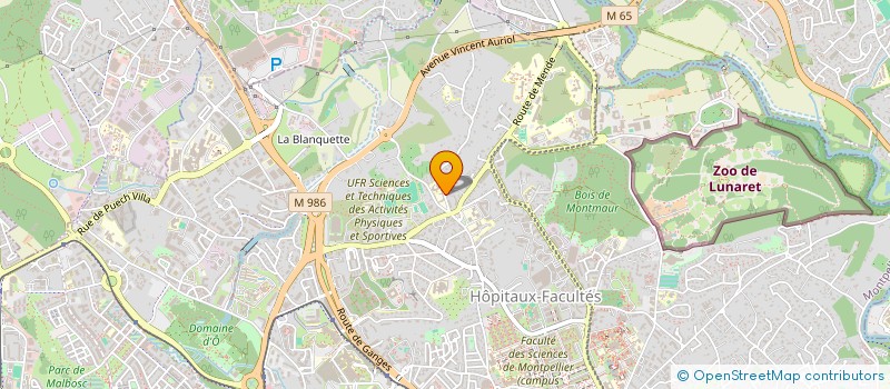 localisation de l'entreprise LES AMIS DE L'ENSEMBLE VOCAL DE MONTPELL à MONTPELLIER