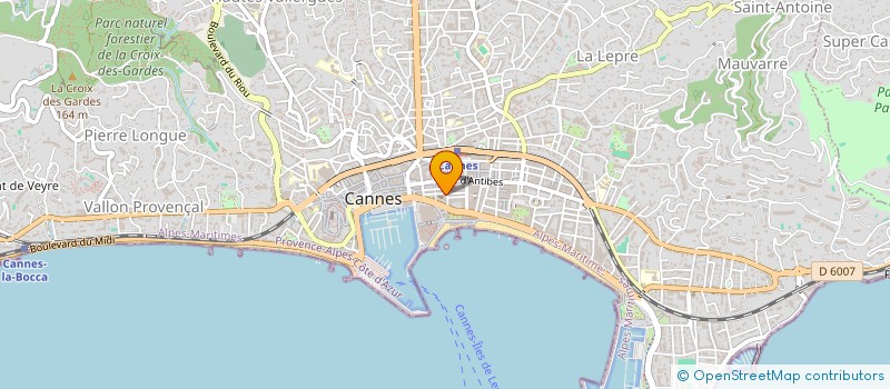 localisation de l'entreprise LES AMIS DE L'ORGUE DE CANNES à CANNES