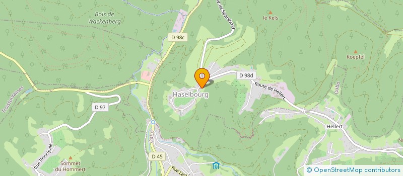 localisation de l'entreprise LES AMIS DE L'ORGUE DE HASELBOURG  HASELBOURG