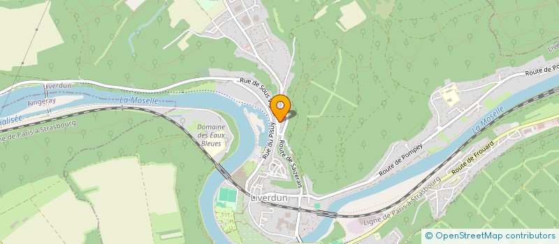 localisation de l'entreprise LES AMIS DE L'ORGUE DE LIVERDUN  LIVERDUN