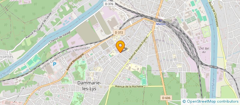 localisation de l'entreprise LES AMIS DE LA BASILICATE à DAMMARIE-LES-LYS