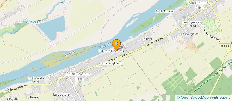 localisation de l'entreprise LES AMIS DE LA FETE DE SAINT DYE à SAINT-DYE-SUR-LOIRE