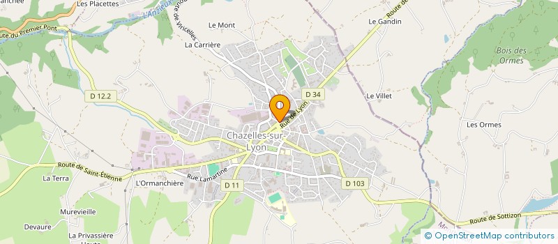 localisation de l'entreprise LES AMIS DE LA FLORE  CHAZELLES-SUR-LYON