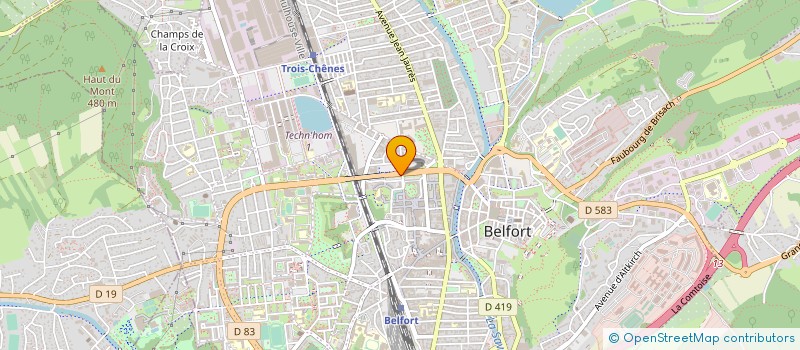 localisation de l'entreprise LES AMIS DE LA LIONNE à BELFORT