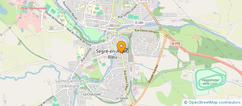 localisation de l'entreprise LES AMIS DE LA MARTINE à SEGRE-EN-ANJOU BLEU