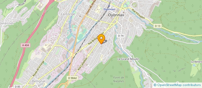 localisation de l'entreprise LES AMIS DE LA MATERNITE D'OYONNAX à OYONNAX