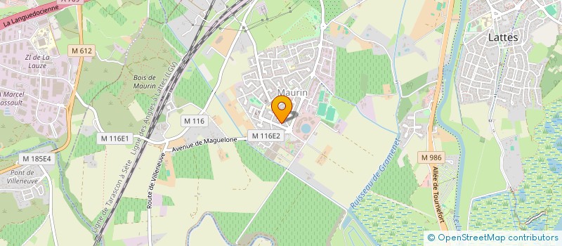 localisation de l'entreprise LES AMIS DE LA MUSIQUE à LATTES