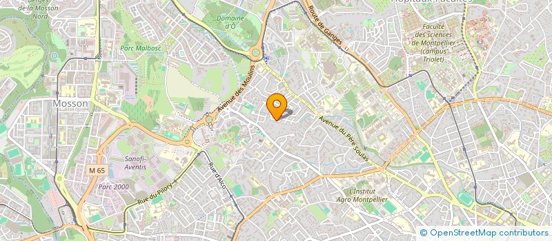 localisation de l'entreprise LES AMIS DE LA SICILE. ASSOCIATION MONTPELLIER-PALERME à MONTPELLIER