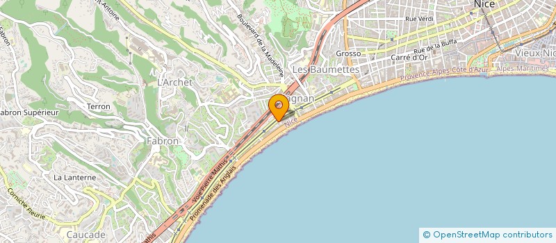 localisation de l'entreprise LES AMIS DE LA VIE à NICE