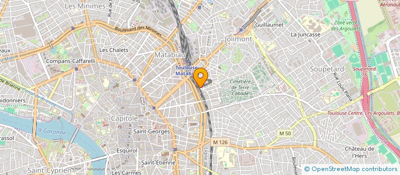localisation de l'entreprise LES AMIS DE MONSIEUR à TOULOUSE