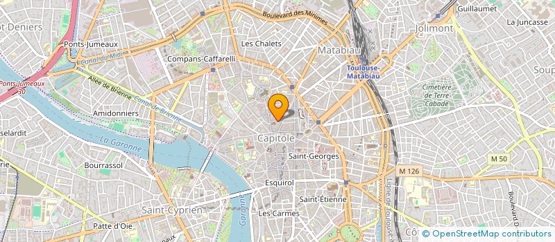 localisation de l'entreprise LES AMIS DE PREETHI SHARAN à TOULOUSE