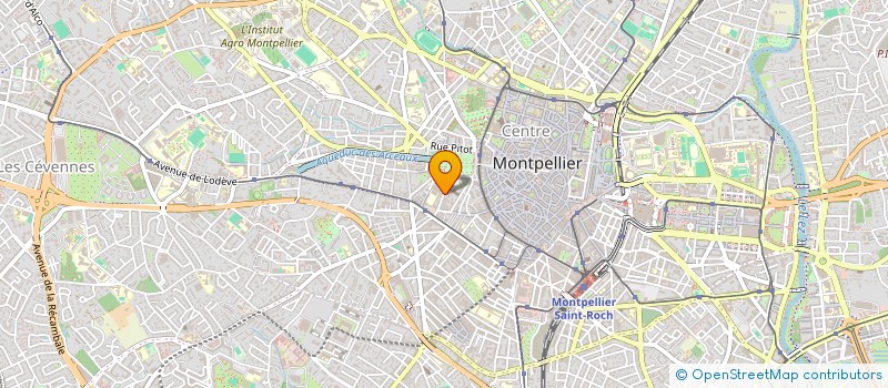 localisation de l'entreprise LES AMIS DE REG'ARTS à MONTPELLIER