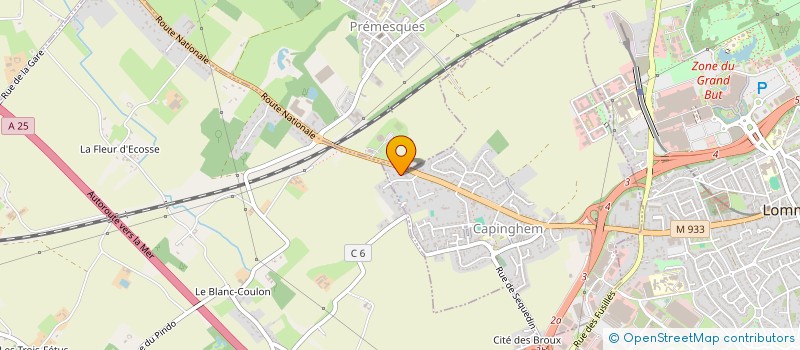 localisation de l'entreprise LES AMIS DE RICK CAVAN à LILLE