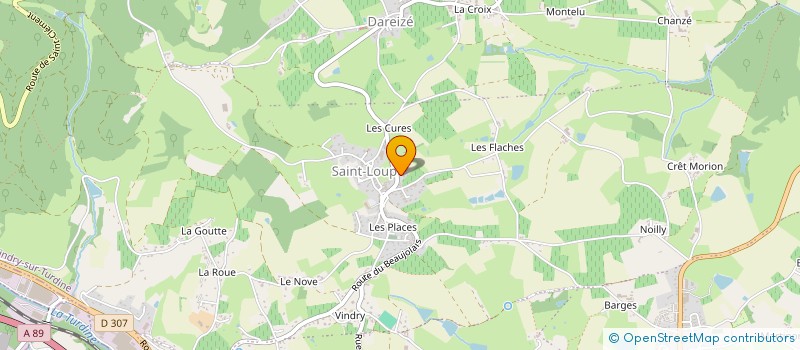 localisation de l'entreprise LES AMIS DE SAINT LOUP  VINDRY-SUR-TURDINE