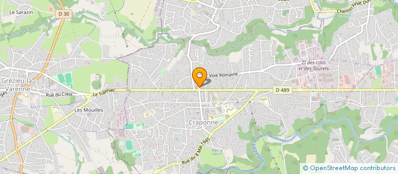 localisation de l'entreprise LES AMIS DE SHADOW, CHAT DE FEU à RIORGES
