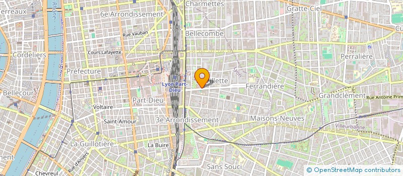 localisation de l'entreprise LES AMIS DE SOLANGE (LAS)  LYON