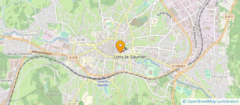 localisation de l'entreprise LES AMIS DES ARTS à LONS-LE-SAUNIER