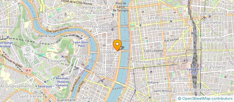 localisation de l'entreprise LES AMIS DES CORDELIERS - BASILIQUE SAINT-BONAVENTURE & CHAPELLE DE L'HOTEL-DIEU  LYON