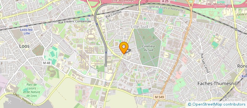 localisation de l'entreprise LES AMIS DES GEANTS DE LILLE à LILLE