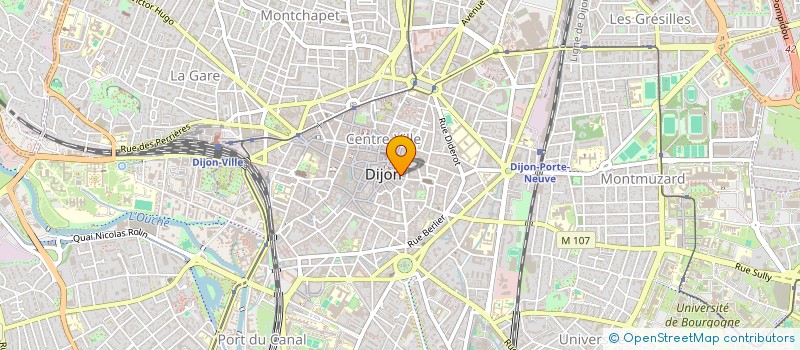 localisation de l'entreprise LES AMIS DES MUSEES DE DIJON  DIJON