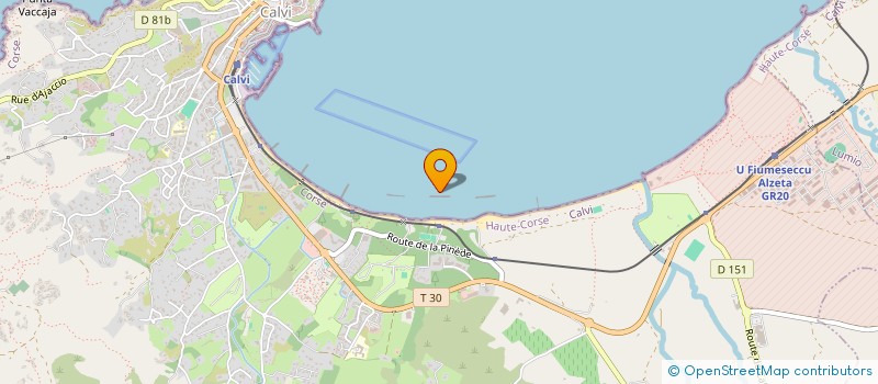 localisation de l'entreprise LES AMIS DES NUITS DE LA VILLA à CALVI