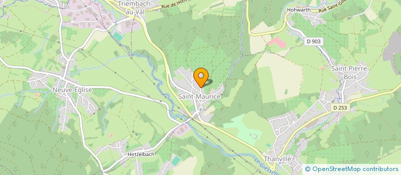 localisation de l'entreprise LES AMIS DU CHENE  SAINT-MAURICE