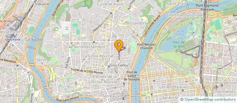 localisation de l'entreprise LES AMIS DU COMIC OUT FESTIVAL à LYON