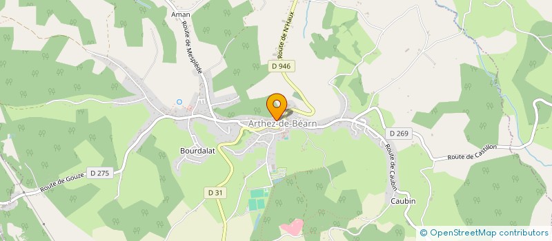 localisation de l'entreprise LES AMIS DU COMITE  ARTHEZ-DE-BEARN