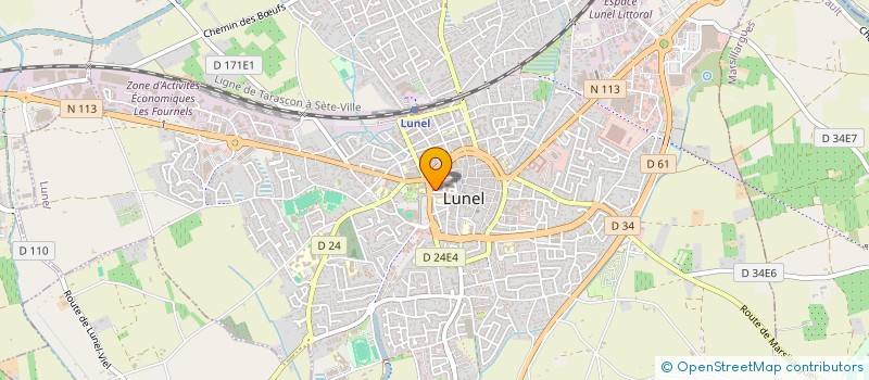 localisation de l'entreprise LES AMIS DU FOOTBALL INTERNATIONAL à LUNEL