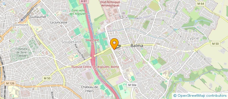 localisation de l'entreprise LES AMIS DU TO XIII  BALMA