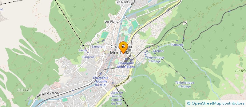 localisation de l'entreprise LES AMIS DU VIEUX CHAMONIX ET DE LA HAUTE VALLEE DE L'ARVE  CHAMONIX-MONT-BLANC