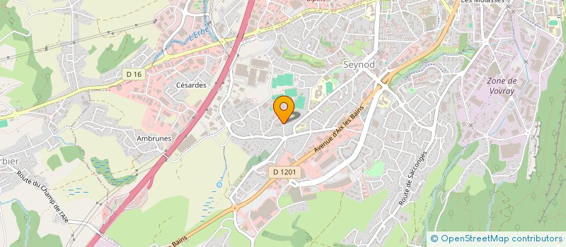 localisation de l'entreprise LES AMIS DU VIEUX SEYNOD à ANNECY