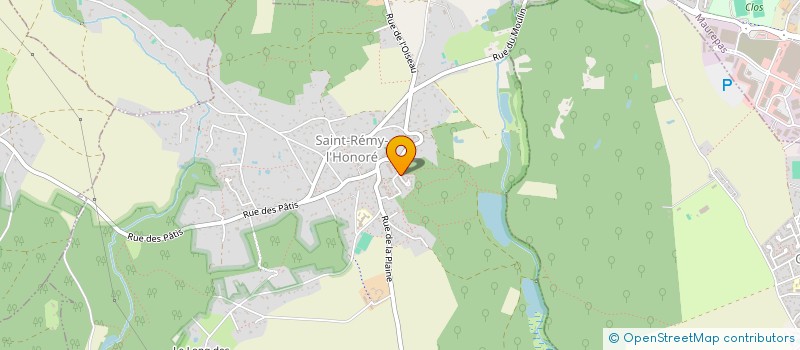 localisation de l'entreprise LES AMNESIQUES  SAINT-REMY-L'HONORE