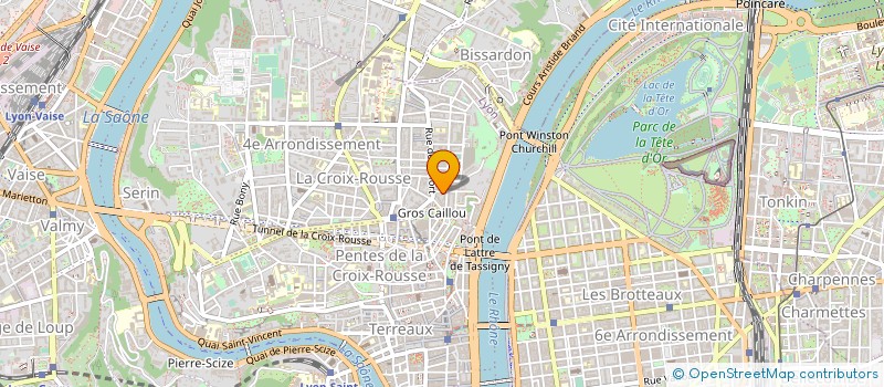 localisation de l'entreprise LES ANACOLUTHES à LYON