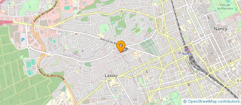 localisation de l'entreprise LES ANDES DE CLEO  NANCY