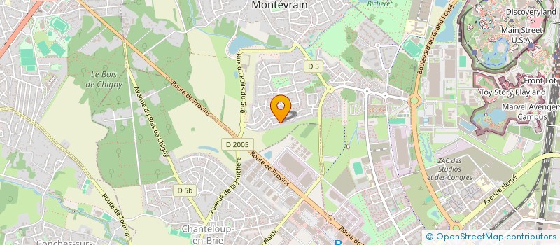 localisation de l'entreprise LES ANDINS  MONTEVRAIN