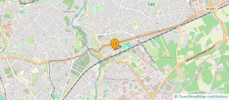 localisation de l'entreprise LES ANEMONES  CASTELNAU-LE-LEZ